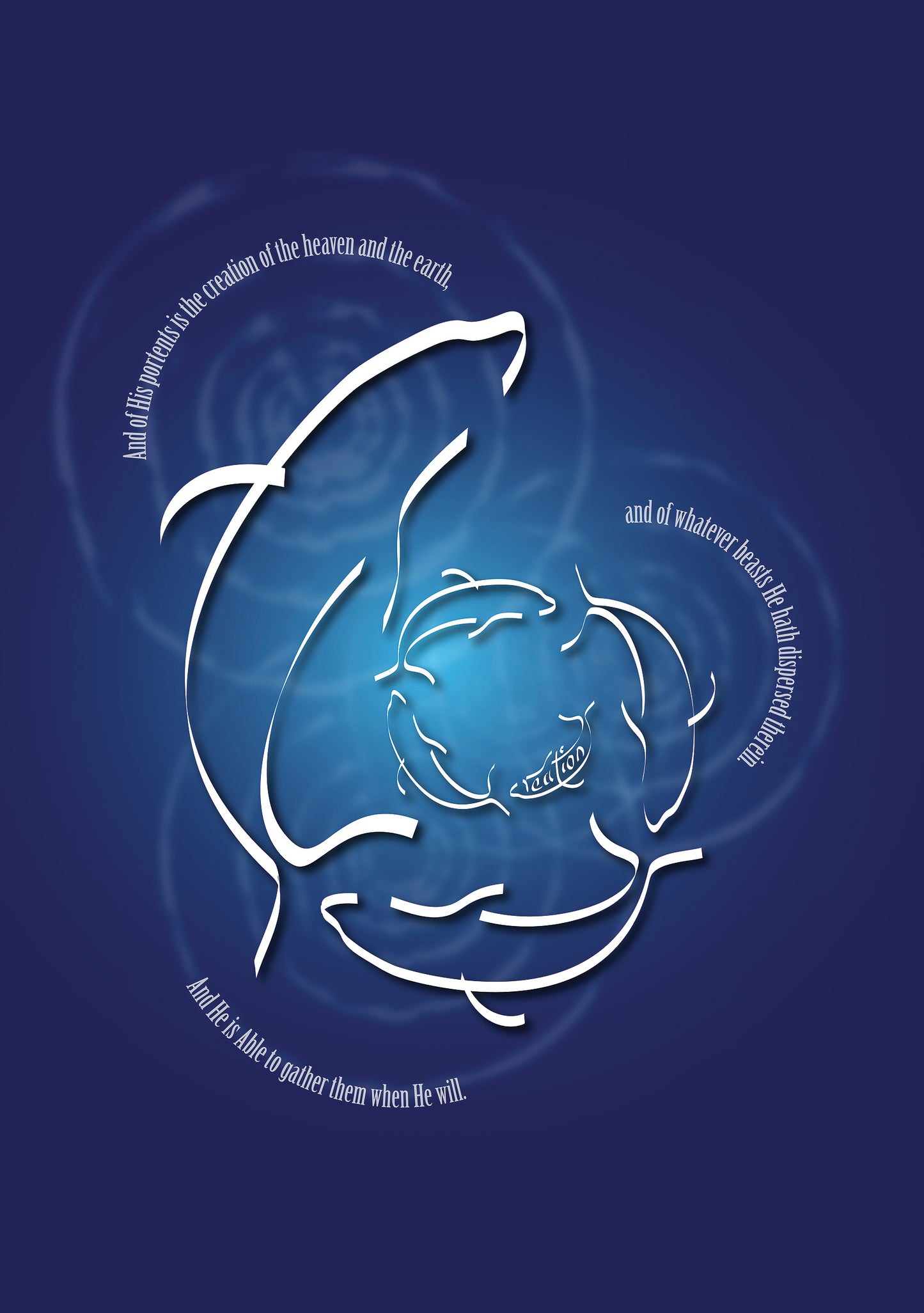 CREATION - DOLPHINS
